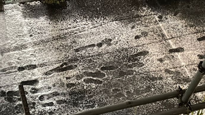雪掻き不要