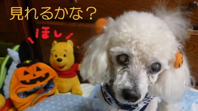 細い月と金星にアンタレス見れるかな? (・_ ・)ジーッ そして台風19号も発生