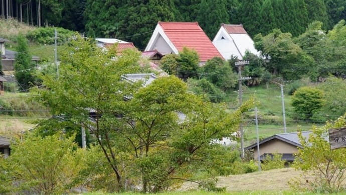 強風吹く曾爾高原へ