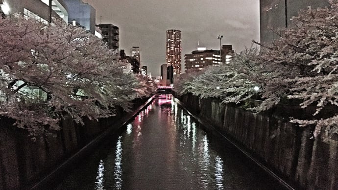 (再投稿)六本木・恵比寿の夜桜など・・・2016/04/10 18:31:50