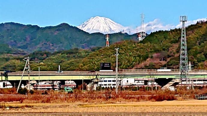 穏やかな年始