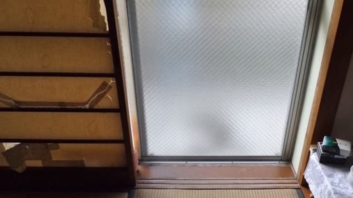 えっ 猫だ
