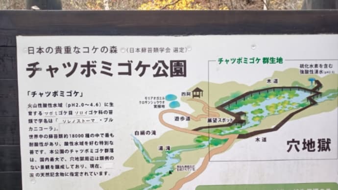 チャツボミゴケ公園~苔と紅葉~(中之条町)