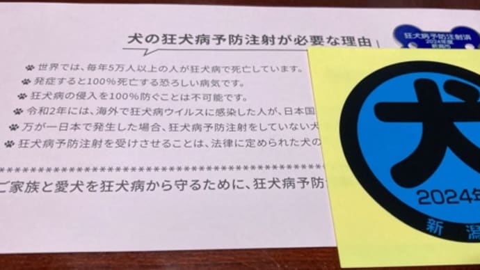 豆太:狂犬病予防接種💉