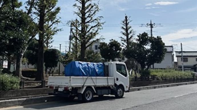 いいい日です。