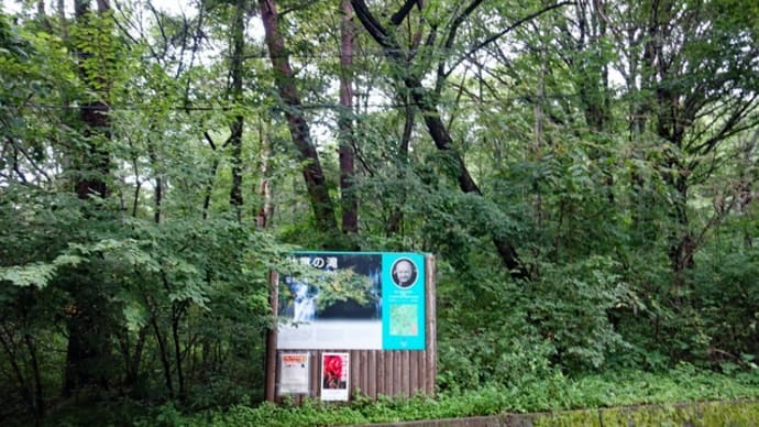 八ヶ岳 6 吐竜の滝