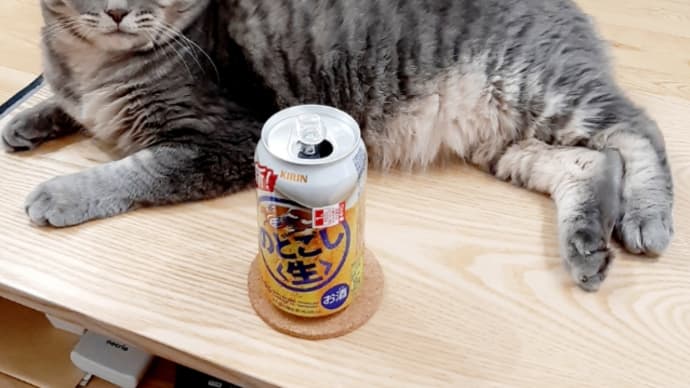 何の予定もない夏休み初日。