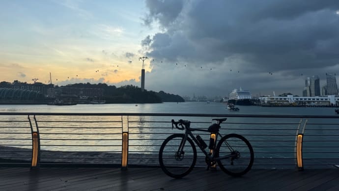 夕暮れ時のMount FaberからSentosa Boad Walk