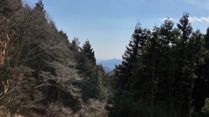 正丸峠ハイキング