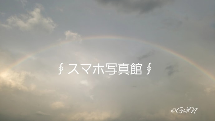 ∮スマホ写真館∮