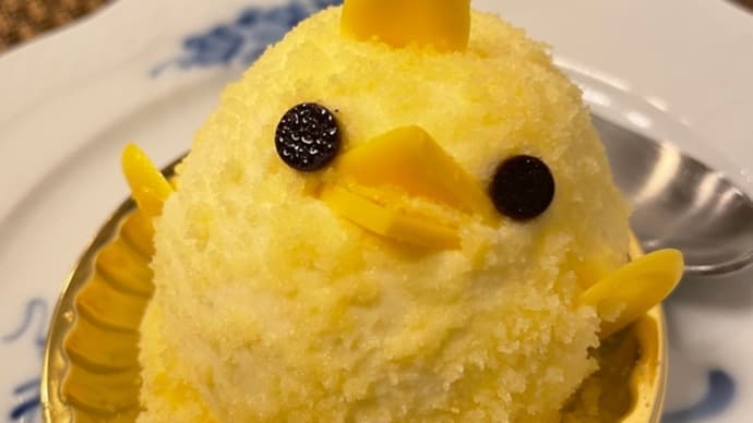 3年ぶりの対面勉強会