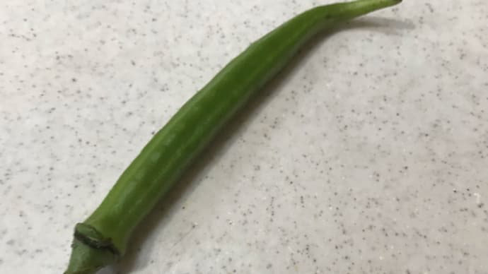 実家の野菜
