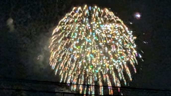 犬の散歩と花火