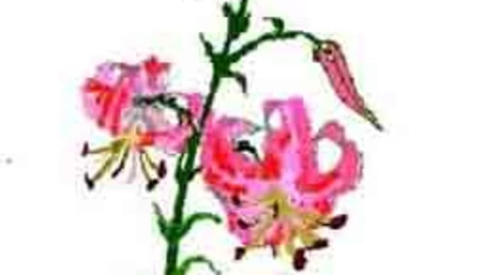 18年前にPCペイントで描いたゆりの花