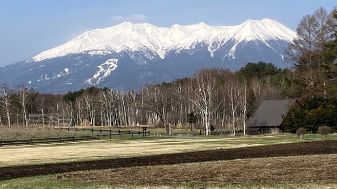 今日は気温が上がっています
