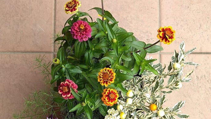 *鮮やかな寄せ植え