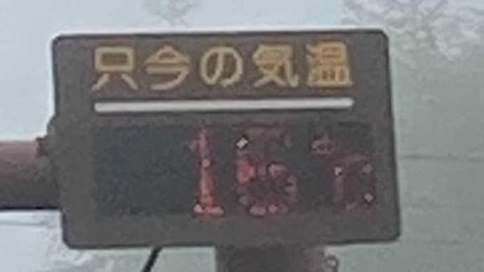 さむい!朝ビーナス