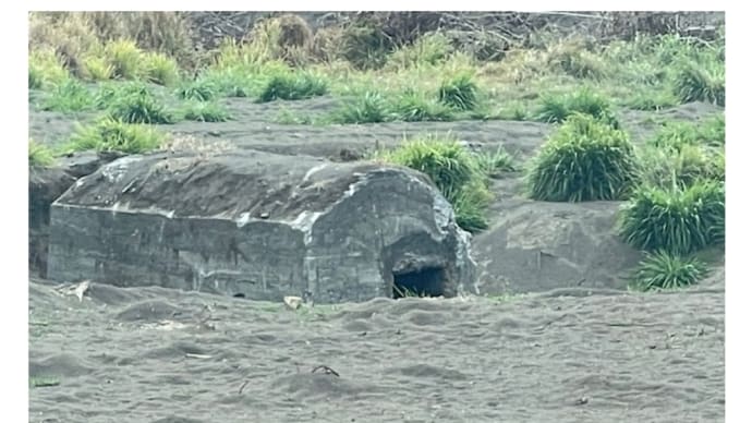4月10日の水曜早朝、ニッポン放送の生放送に参加(2024/04/08)