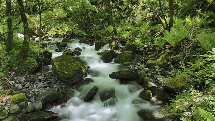 ★美ヶ原山麓 三城の谷川にて(4)2023