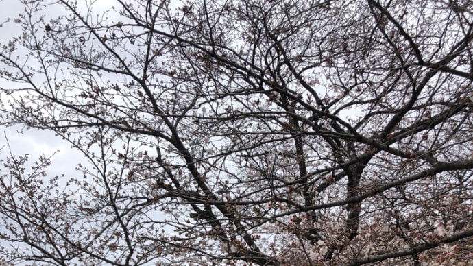4連休