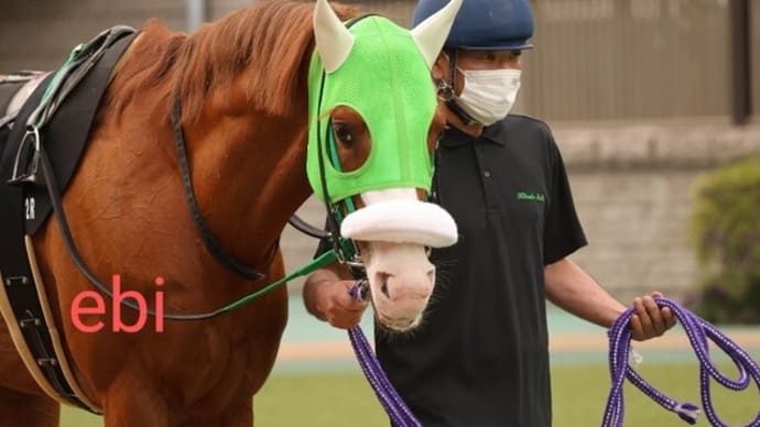 6月14日 (土)本日の出走馬