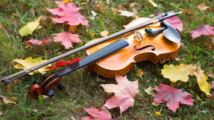 【フランク🎻ヴァイオリン・ソナタ】故郷で育て次世代の音色 岡崎出身のバイオリニストが初の演奏会