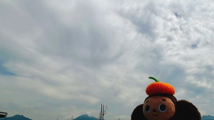 やっと雨の降らない日!