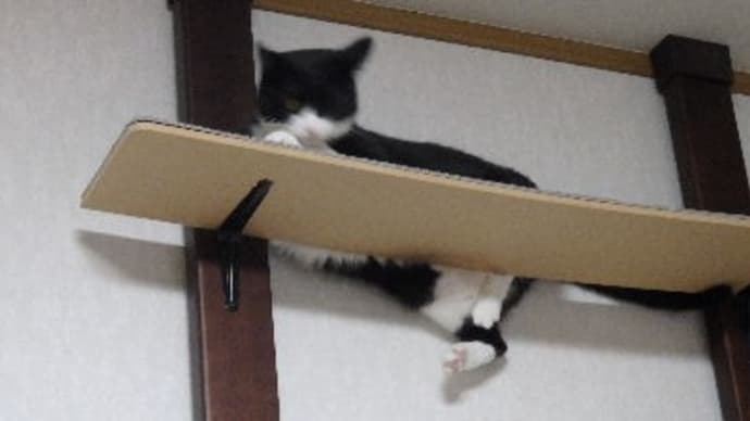 気を付けてくださいね。