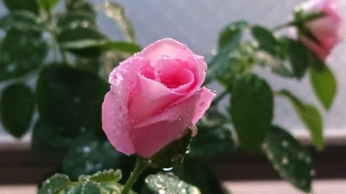 3連休(2日目)