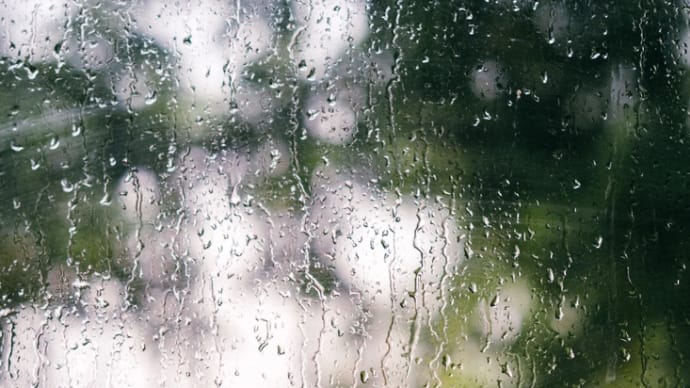 ホッとする様な雨の日