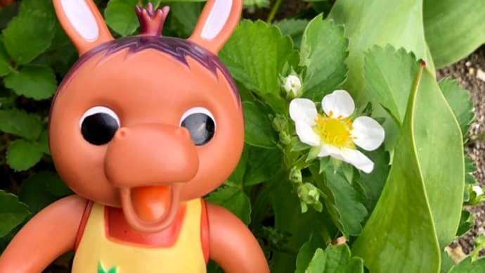 ロバくんと白いイチゴの花