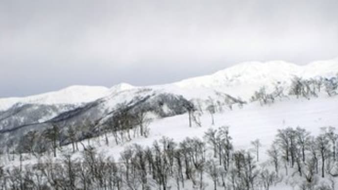 14日目(Ski:2007-2008)