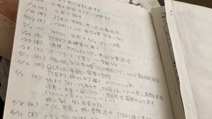 わたしのマメは今いずこ?