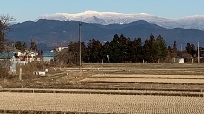 今日は天気が良かった