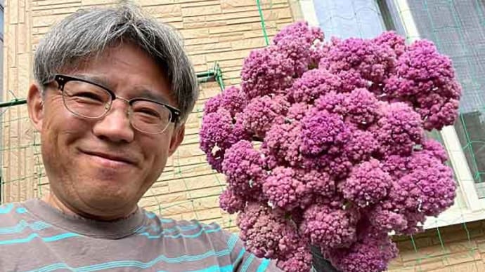 紫カリフラワー「シチリアンパープル」収穫！