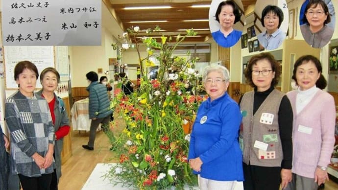 篠窪(しのくぼ)の隣町 秦野市西公民館祭りでお花を展示さ れました(2024/11/23)