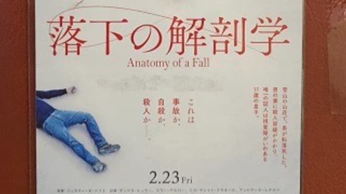 「落下の解剖学」観てきました。