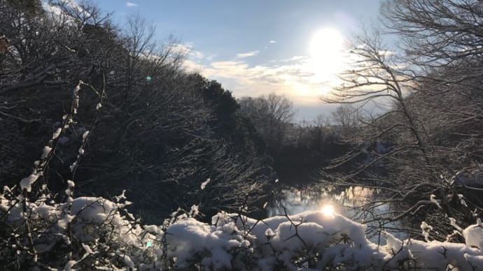 長かった1月がやっと終わる