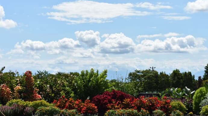 夏の風景