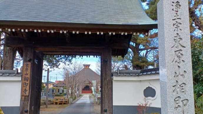 今年の正月