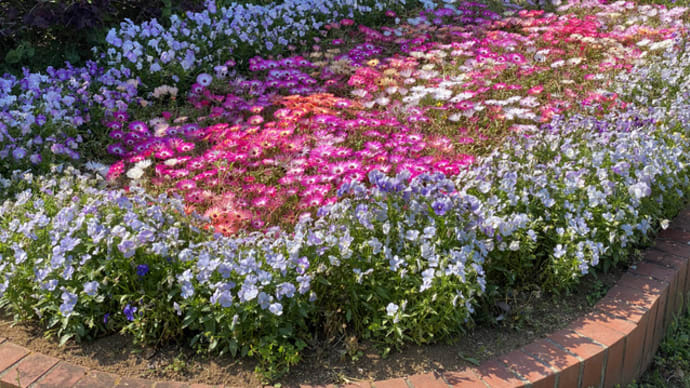 【二人静】と【林檎の花】～またこども植物園へ~