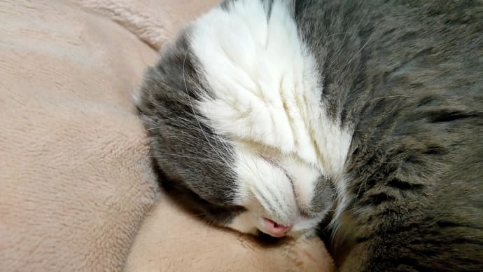 やっぱり正解だった