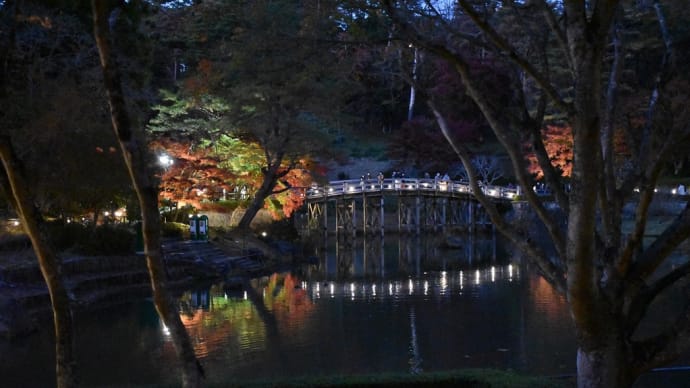 もみじ狩り 静岡県伊豆市修善寺 虹の郷 日本庭園(7)水面にも写りだした