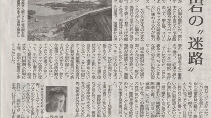 南紀・荒船海岸の太陽
