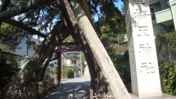 秋の荏柄天神社、(2024秋)。