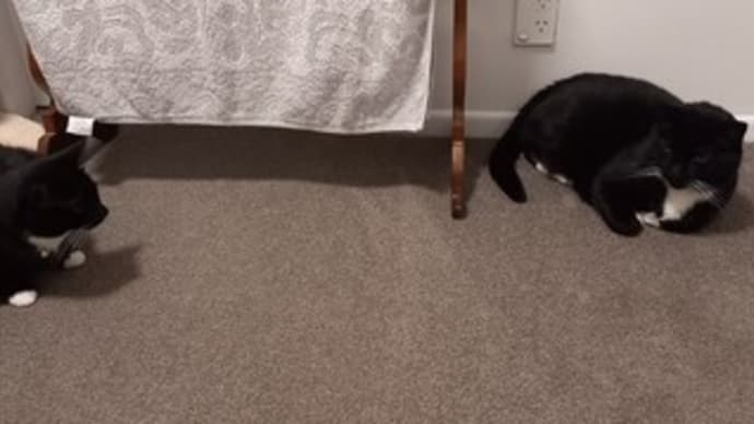 未知との遭遇