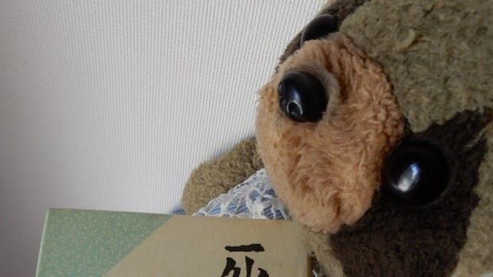 蝉の鳴く小説・11(吉村昭『油蝉』感想)