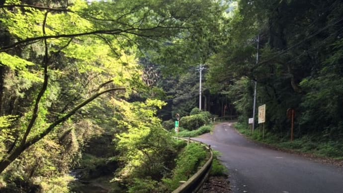 地元の良さを再認識したプチ山岳ライド!(Ⅱ)