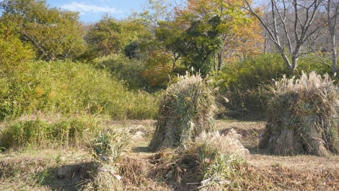 茶草場農法の後継者がいない