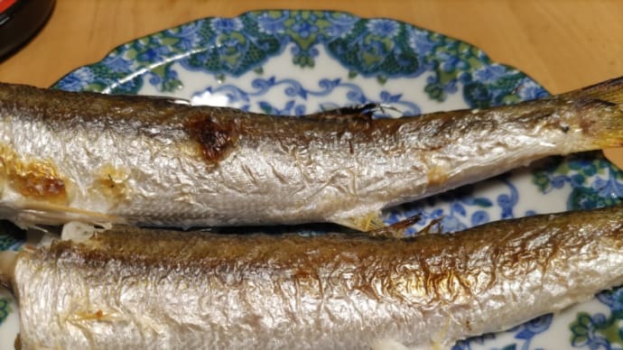 コレも供養の一つ
